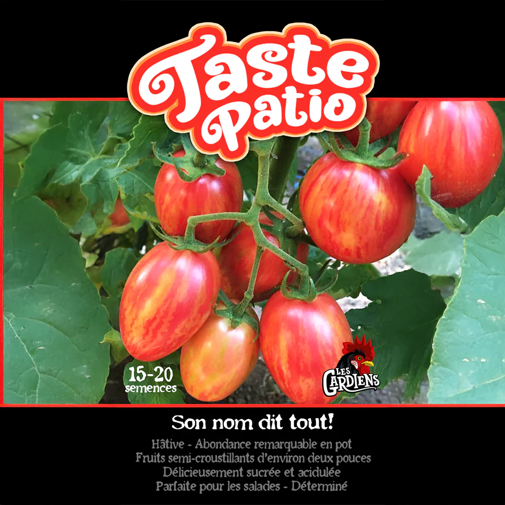 Image du produit 1